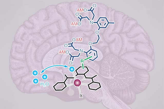 MRI Sensor Images Deep Brain Activity