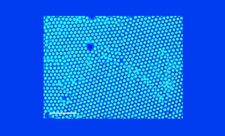 Ultraviolet Light Controls Fluid Flow