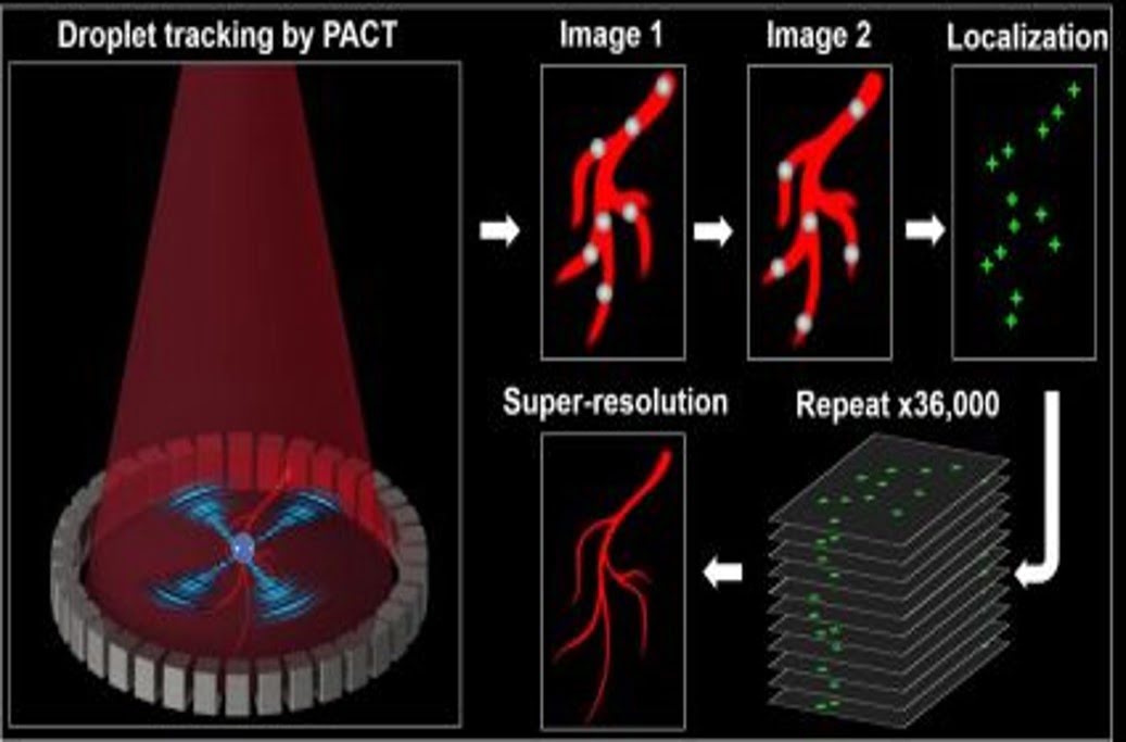 Photoacoustic Computed Tomography