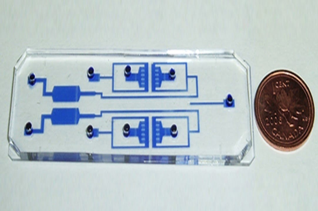 PDMS Microfluidics