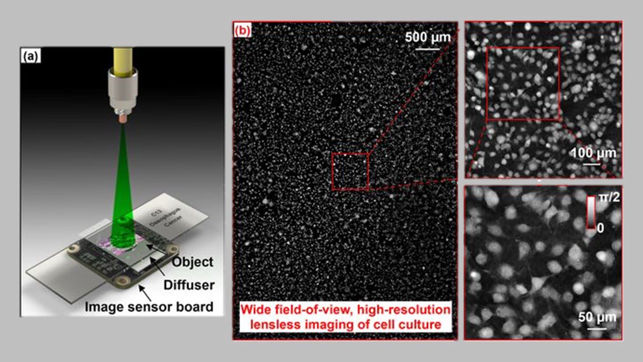 Ptychography Enables Lensless On-Chip Microscopy