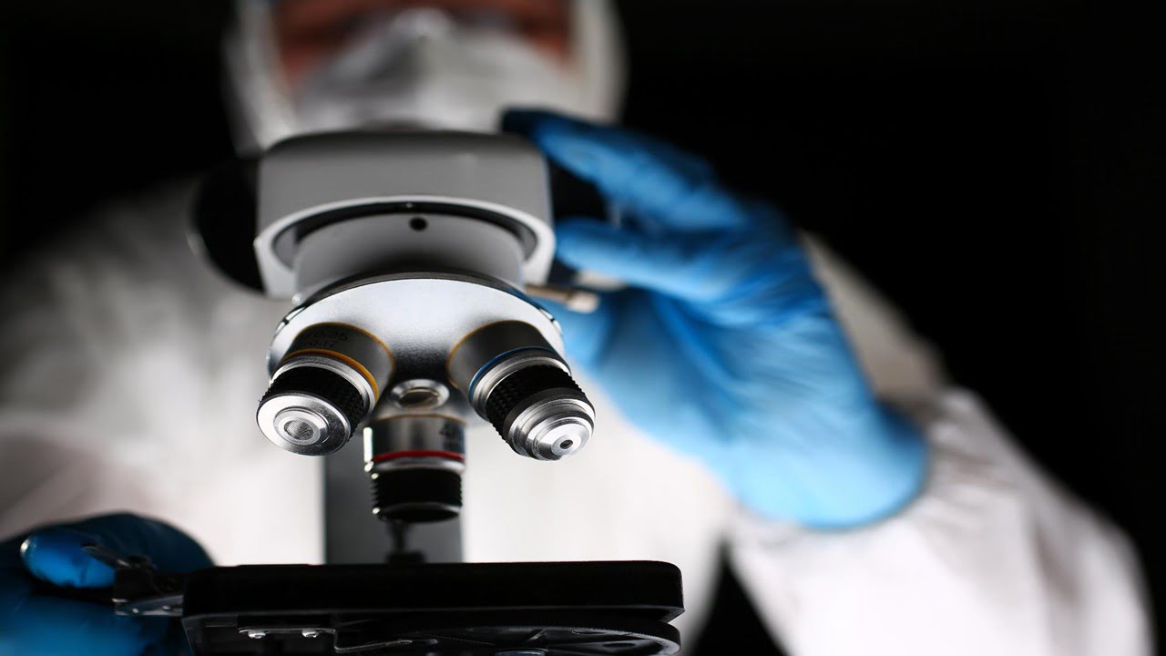 Light Sheet Fluorescence Microscopy Eye Exam | Syntec Optics